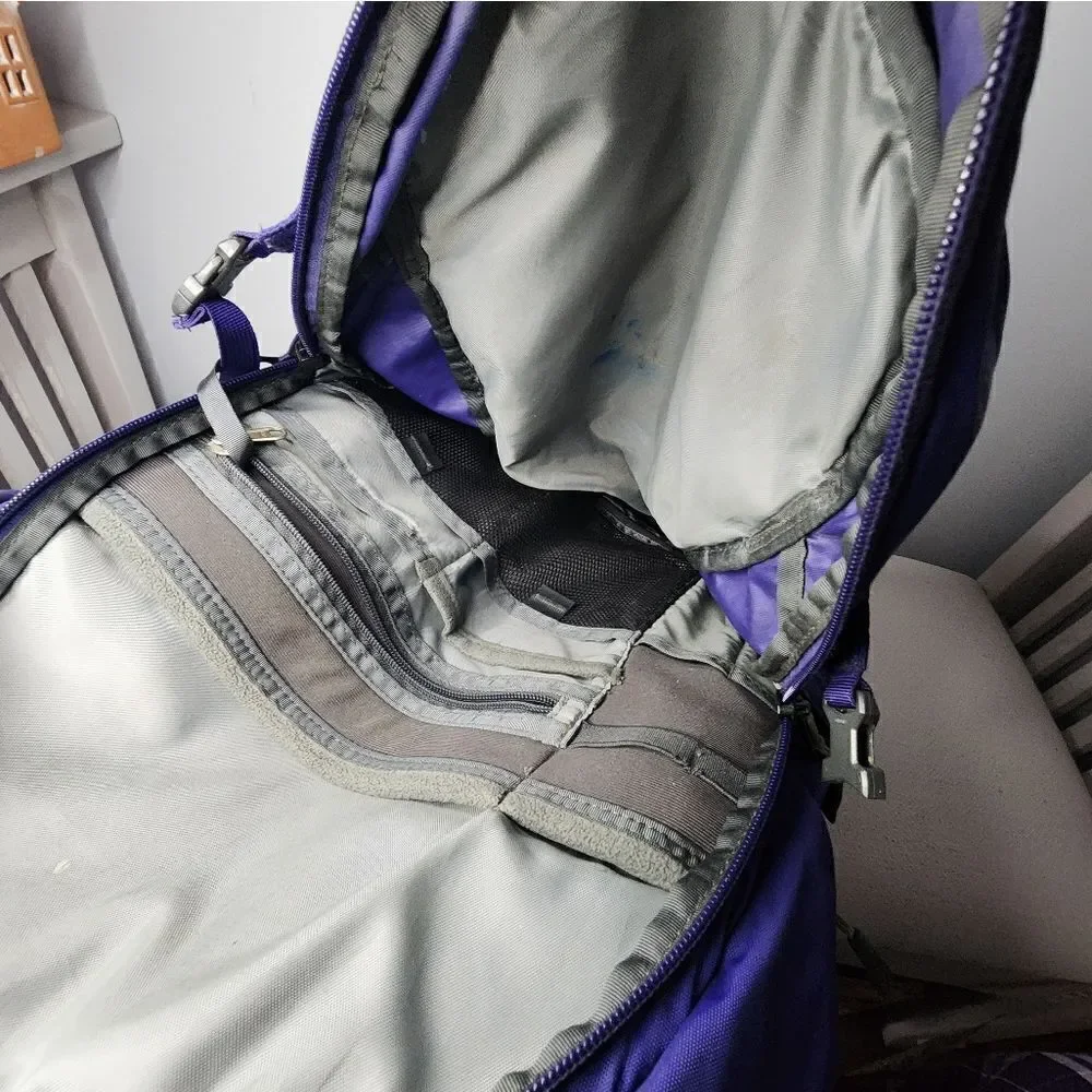 The North Face Borealis Backpack Book Bag Purple Flexvent Padded Straps